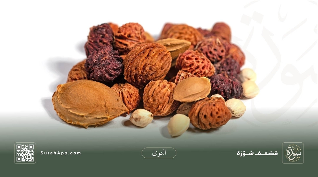 screenshot-20251013-143359-surah.jpg