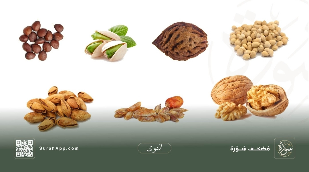 screenshot-20251013-143423-surah.jpg